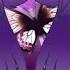 Killing Butterflies GLMV