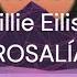 Billie Eilish ROSALÍA Lo Vas A Olvidar 1 Hour Loop