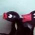 Pingu And The Giant Snowball Pingu Official Cartoons For Kids