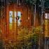 HEAVY RAIN At Night To Go To Sleep Reduce Stress With Rain Sounds In The Middle Of The Forest