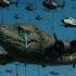 Nooooo Bombardiro Crocodilo In Prison La Policia