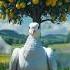 A Big Pigeon Plants A Papaya Tree On A Train Track And Gives It Lots Of Water Ai Pigeon