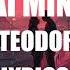 Liviu Teodorescu M Ai Mintit Lyrics