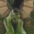 Abney Park Tiny Monster