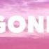 Sophia Angeles Gone Lyrics