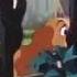 I Found My Tramp Amv Lo Fi
