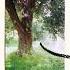 DJ Balduin From An Oak To The Stone