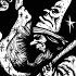 Salome S Dance