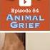 54 Animal Grief Graves Disease Anticonvulsants Robert Sapolsky Father Offspring Interviews