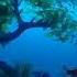My Fishing World