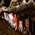 Night At The Museum 1 5 Movie CLIP Throw The Bone 2006 HD