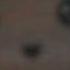 I Gotta Feeling Blackeyed Peas