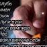 Сектор Газа Шикарный сборник хитов от Сектор Газа Юрий Клинских Лучшее из Сектор Газа