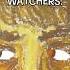 If You Have A WATCHER Character