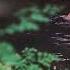 High Quality Video Relaxing Music Beautiful Rockpool Peaceful Guitar Piano