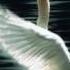 Modern Talking Riding On A White Swan Long Maxi Mix
