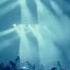 RÜFÜS DU SOL In The Moment Adriatique Rivo Remix Shorts