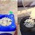 REAL Vs FAKE JBL Speaker Bass Tumbler Music Bassboosted Real Fake
