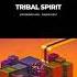 Tony Dharma Tribal Spirit Extended Mix VSA Recordings