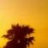 The 7th Dj So Far Balearic Chillout