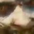 Preview 2 Womanizer Deepfake