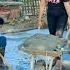 The Power Of Kindness Kind Men Help Thuy Pour Her House Foundation Ly Thanh Thuy