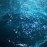 Dark Oxygen CIA Deep Sea Secret Could Trigger The Next Extinction Event STRIPPED