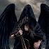 Fallen Angel In The Hell