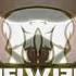 Nelvana Logo Effects Sony Vegas Version In Low Voice