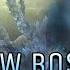 Shadow Fight 3 Raids Void World Chorus Of The Void Set Level 2 VS Himmelstein New Boss