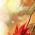 Video WP GET Fallen Leaves Raindrops