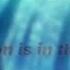 Nightcore Rockstar Rock Version