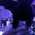 Sia Move Your Body Alan Walker Remix Slowed Reverb
