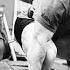 Let S GOOOOOi The Best Powerlifting Motivation