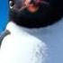 Happy Feet Two Ramon Jumps To Carmen Warner Bros Entertainment
