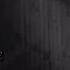 Haze Bunker Prod Dasaeschbeats Videopremiere