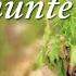 Viorica Macovei Dorule De Peste Munte