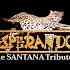 ESPERANDO The Santana Tribute Tributetosantana2473