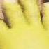 All Star Shrek 𝙎𝙡𝙤𝙬𝙚𝙙 𝙧𝙚𝙫𝙚𝙧𝙗