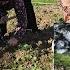 Posjeta OCU U Bolnicu A Zatim Na NJIVU Radno Kopamo Krompir čestite Hanume Villagelife