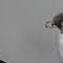 Thomas Dolby Hyperactive Remix