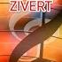 Эгоистка Zivert Караоке