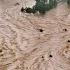 Sirens Blaring Across The City Over 52 000 Victims Begging To Be Evacuated Flooding In China