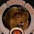 Metro Goldwyn Mayer 1956