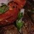 Greek Food In Athens Greece Athens Food Tour
