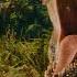 Jurassic World Rebirth Official Trailer