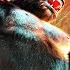 Atom Music Audio Detonation Trailer Music Percussion Sound Design Massive Heavy