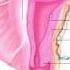 Reproductive System Replacement And Repair