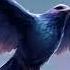 Bird Set Free Sia Slowed Reverb Sub Español