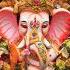 Chala Chala Karuya Naman Ganaraya La Ganpati New Status Shorts Ganpati Ganeshchaturthi